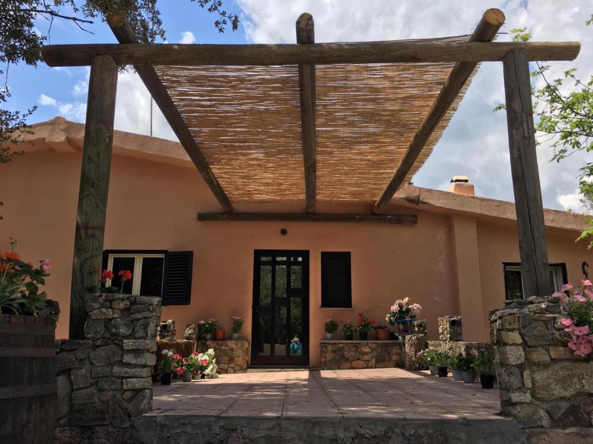 Azienda Agrituristica S'Argalasi - B&B - Affittacamere Loc S'Argalasi Austis 외부 사진