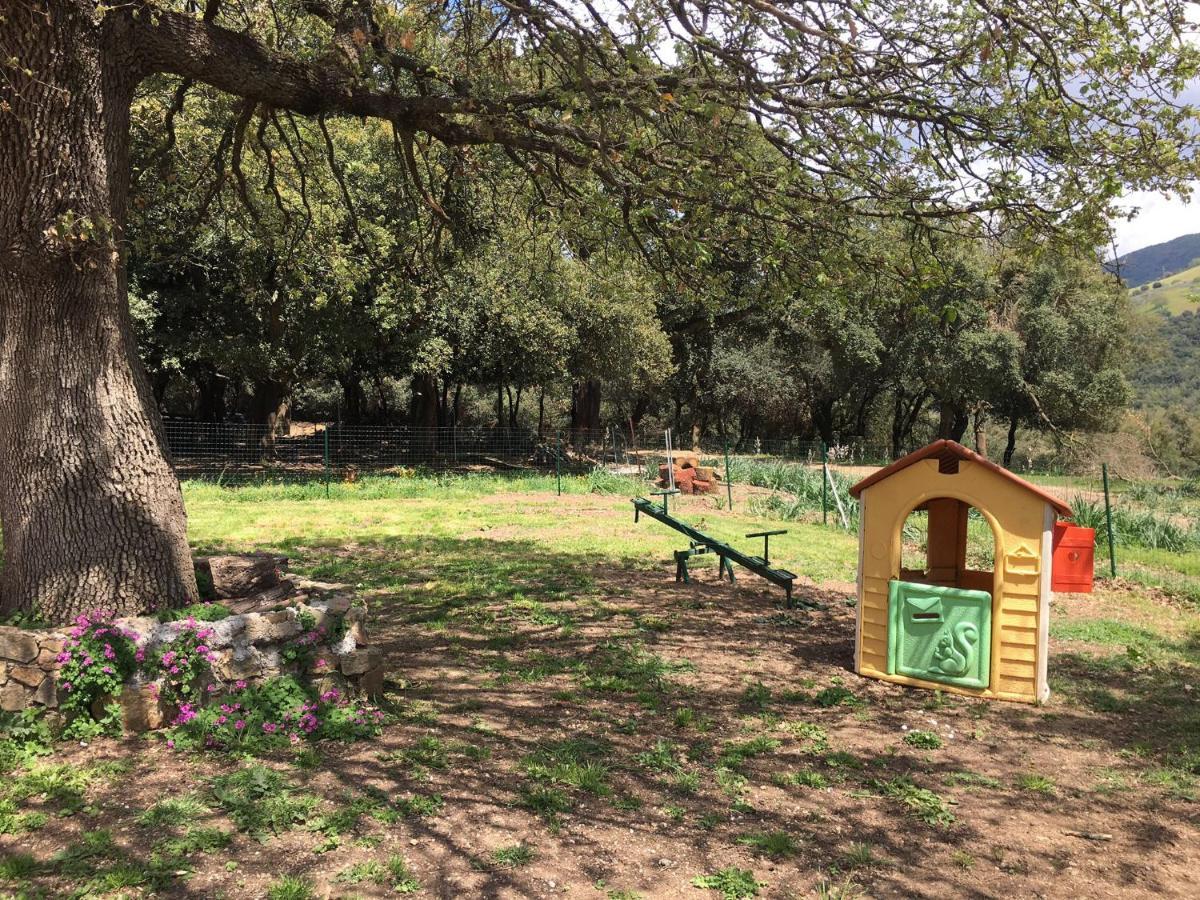 Azienda Agrituristica S'Argalasi - B&B - Affittacamere Loc S'Argalasi Austis 외부 사진