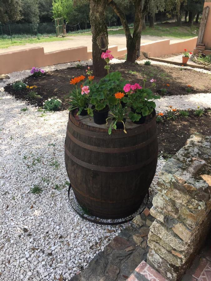 Azienda Agrituristica S'Argalasi - B&B - Affittacamere Loc S'Argalasi Austis 외부 사진
