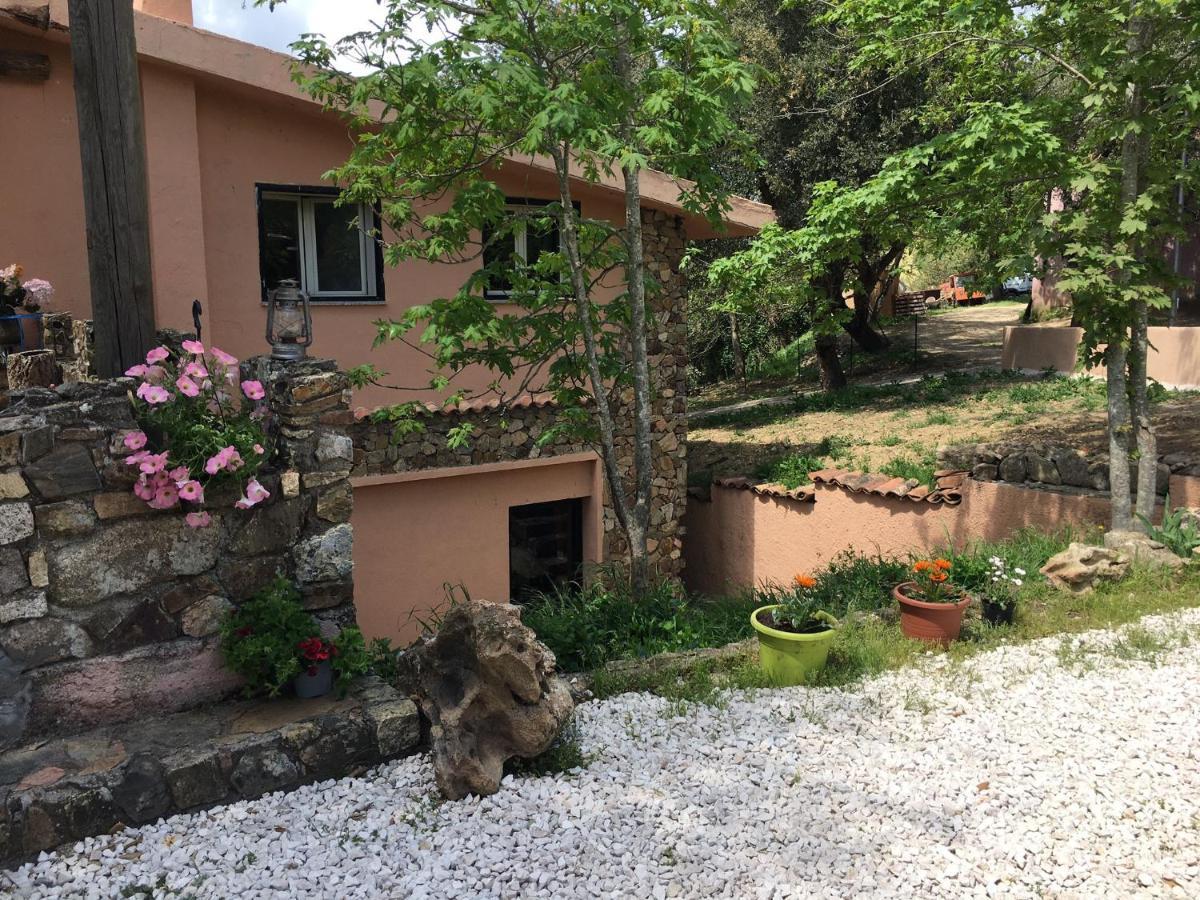 Azienda Agrituristica S'Argalasi - B&B - Affittacamere Loc S'Argalasi Austis 외부 사진