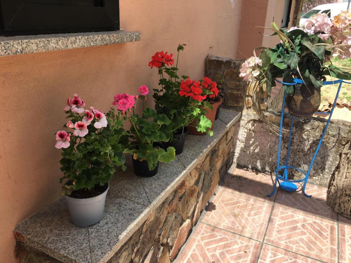 Azienda Agrituristica S'Argalasi - B&B - Affittacamere Loc S'Argalasi Austis 외부 사진