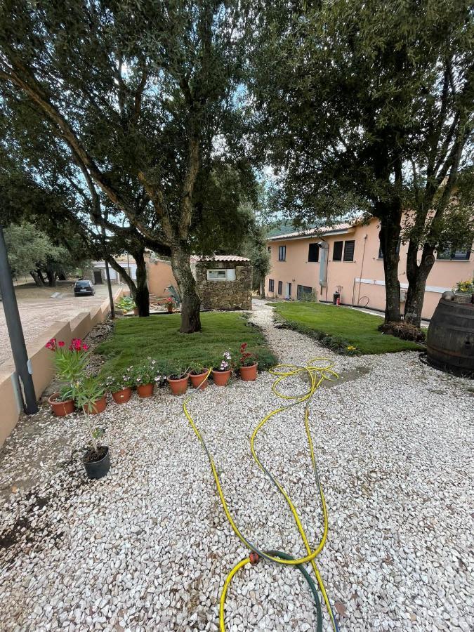 Azienda Agrituristica S'Argalasi - B&B - Affittacamere Loc S'Argalasi Austis 외부 사진